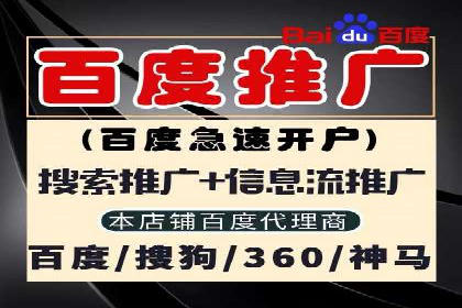 案例分析：高效信息流广告投放策略
